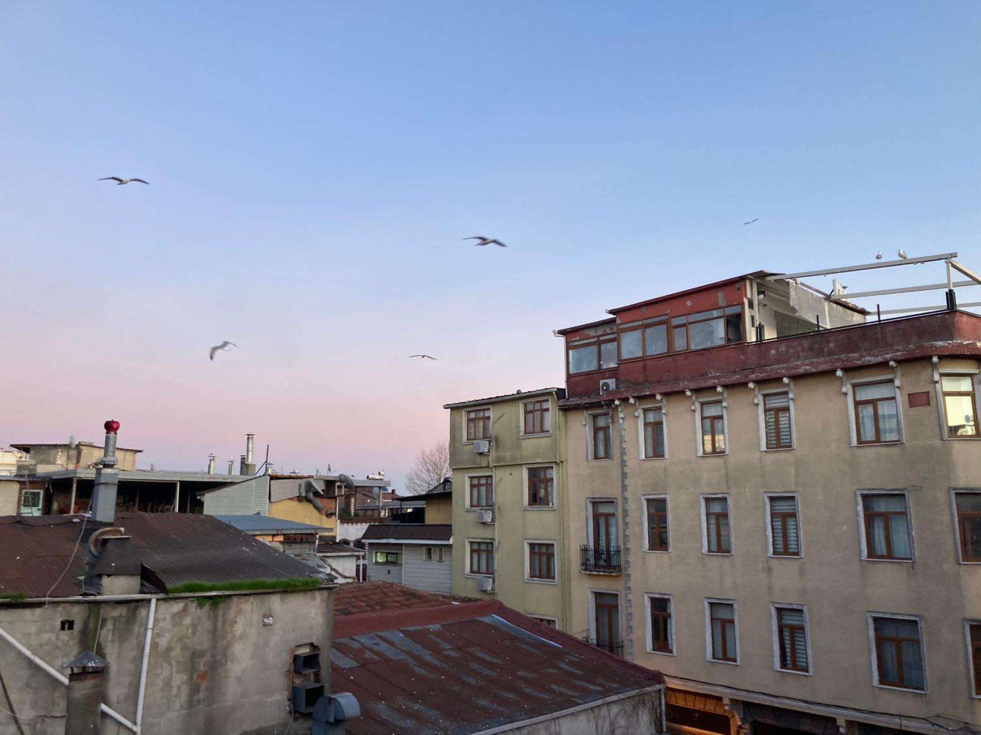Ulusoy Old City 이스탄불 외부 사진